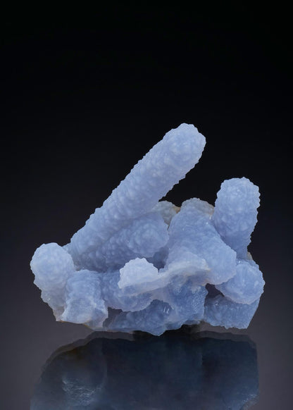 CC46910 specimen image