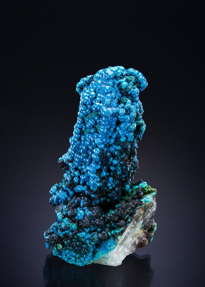 CC46952 specimen image