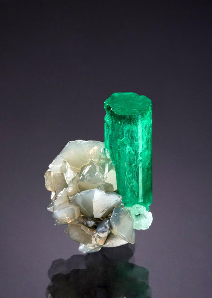 CC46972 specimen image