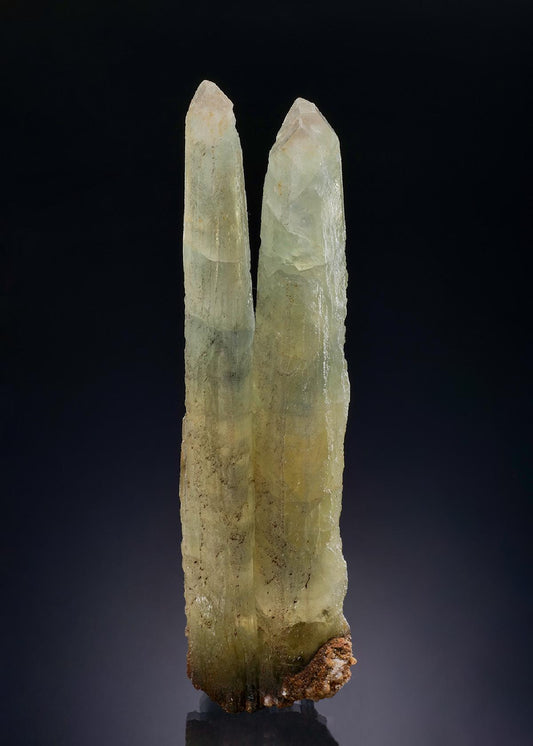CC46986 specimen image