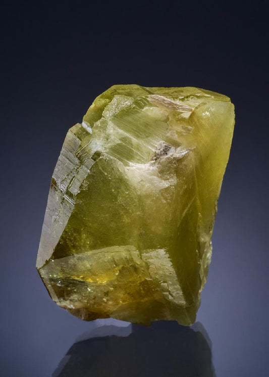 CC46990 specimen image