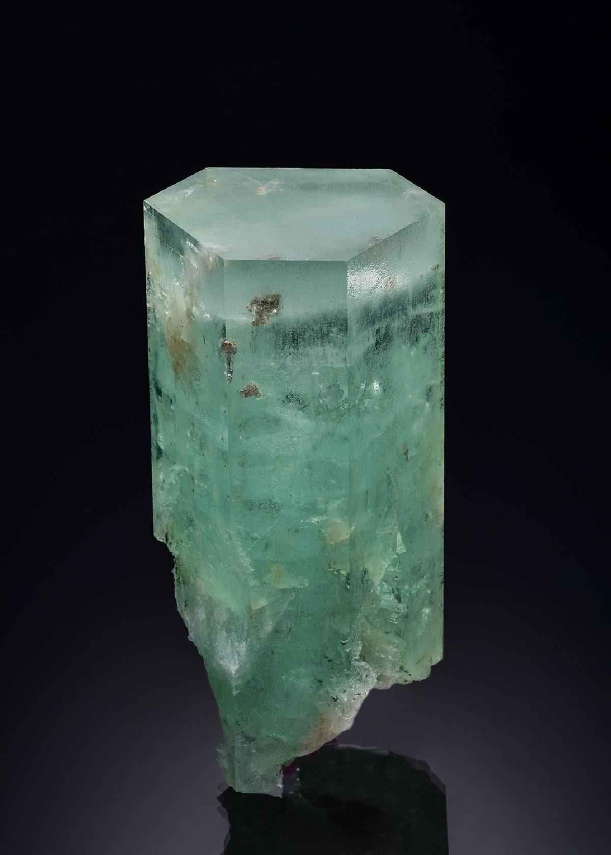 CC47004 specimen image