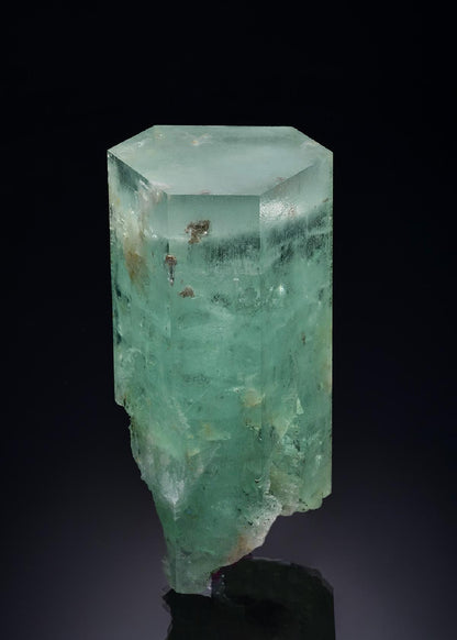CC47004 specimen image