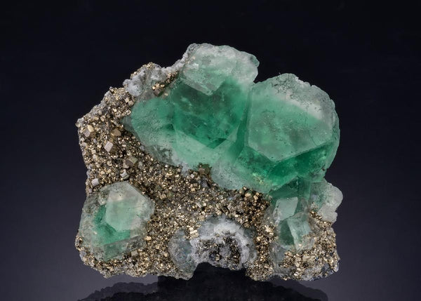 CC47128 specimen image