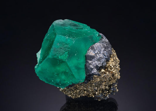 CC47140 specimen image