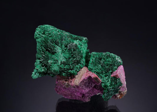 CC47146 specimen image