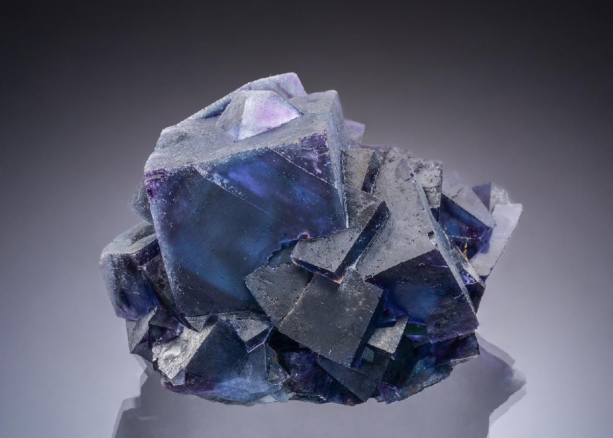 CC47164 specimen image