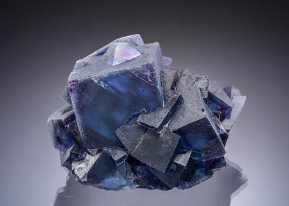 CC47164 specimen image