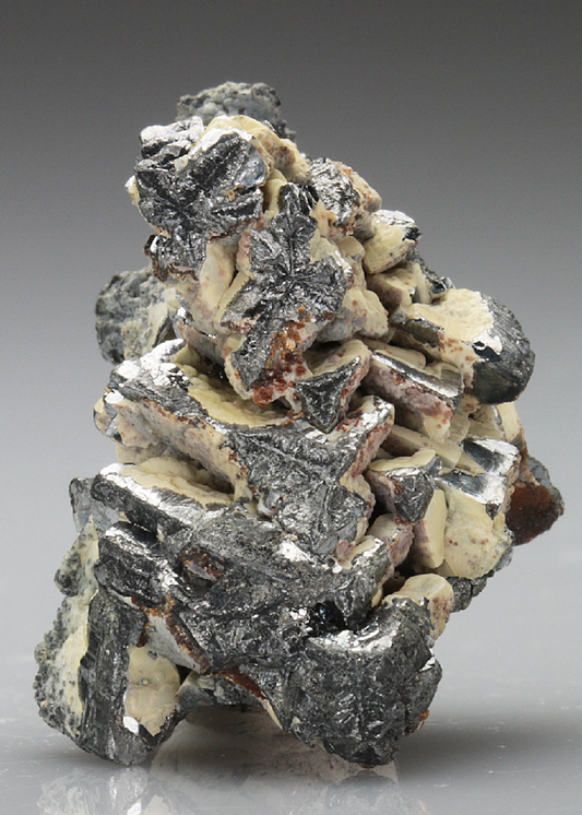 CC4724 specimen image