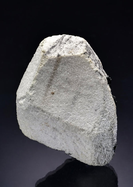 CC47246 specimen image