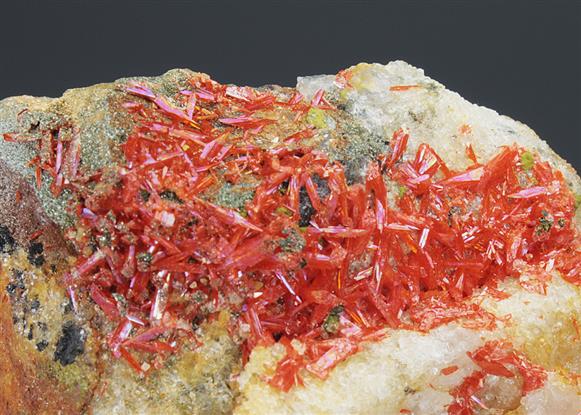 CC4733 specimen image