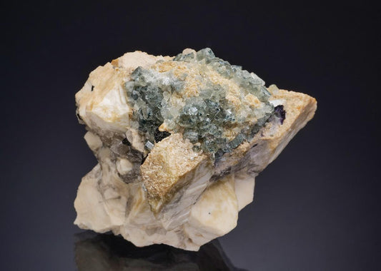 CC47380 specimen image