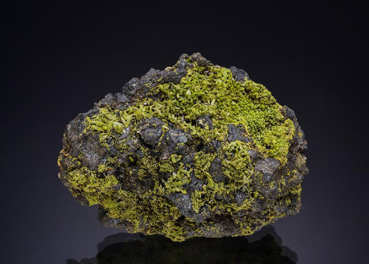 CC47386 specimen image