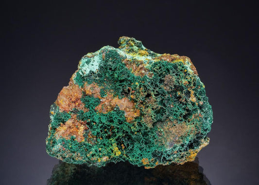 CC47390 specimen image