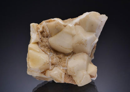 CC47416 specimen image