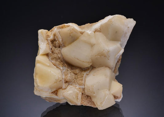 CC47416 specimen image