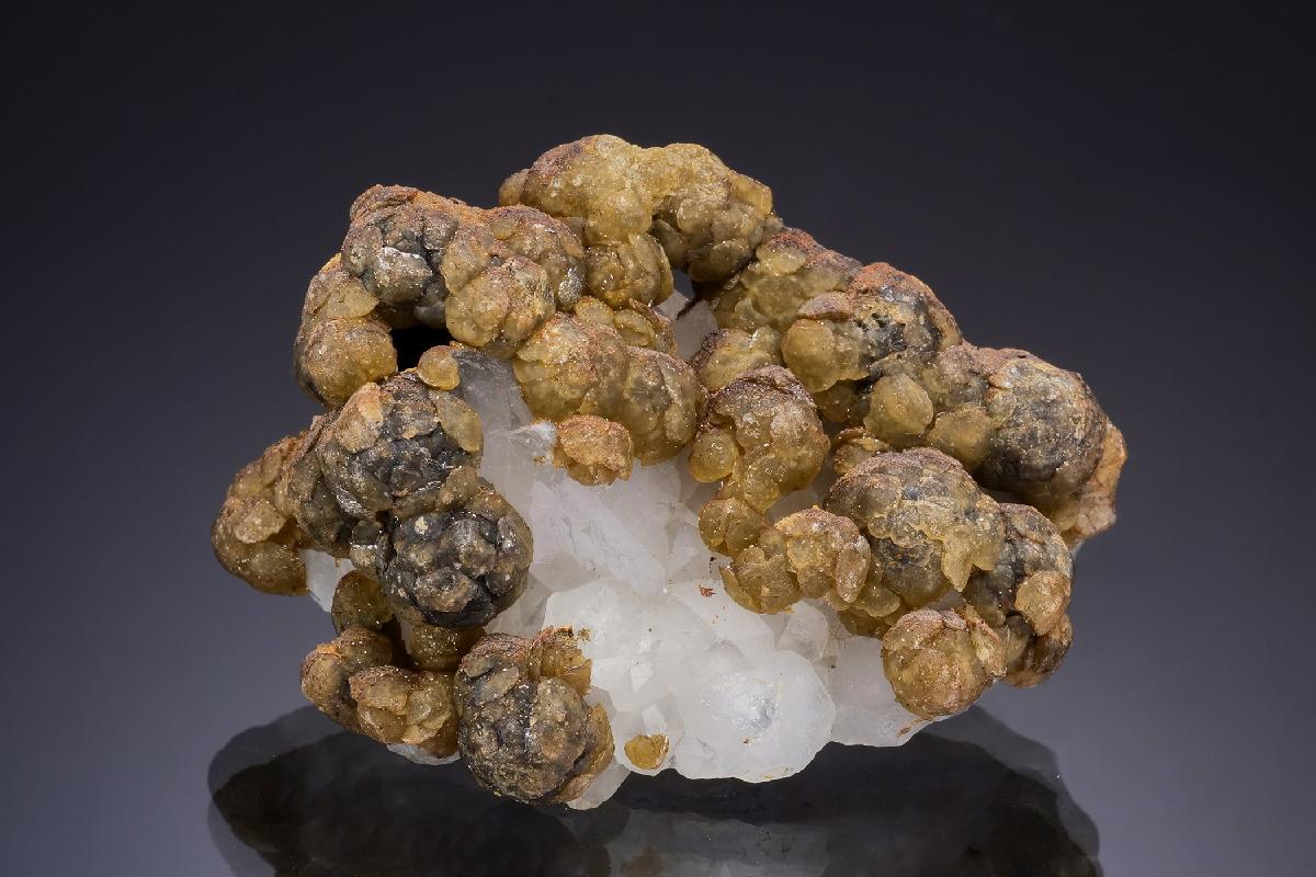 CC47428 specimen image