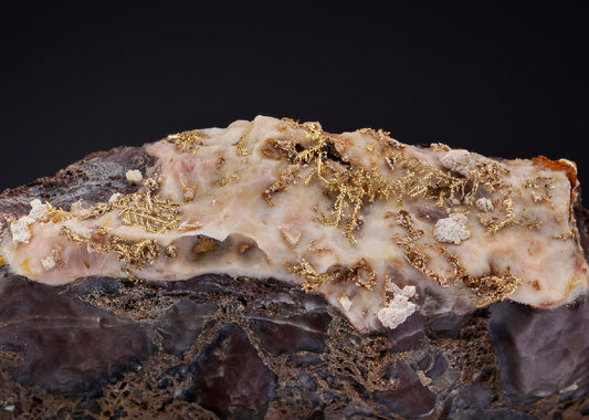 CC47430 specimen image