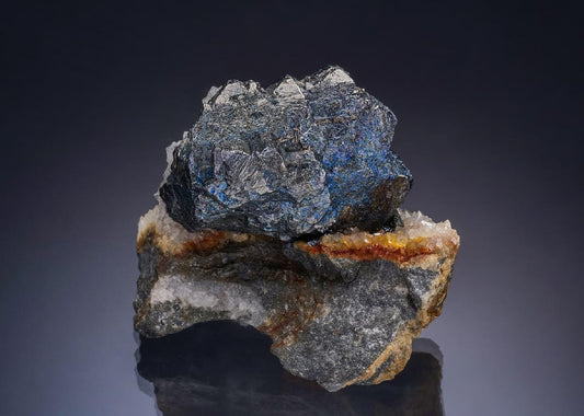 CC47444 specimen image