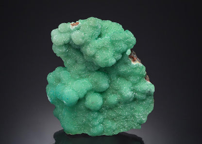 CC4745 specimen image