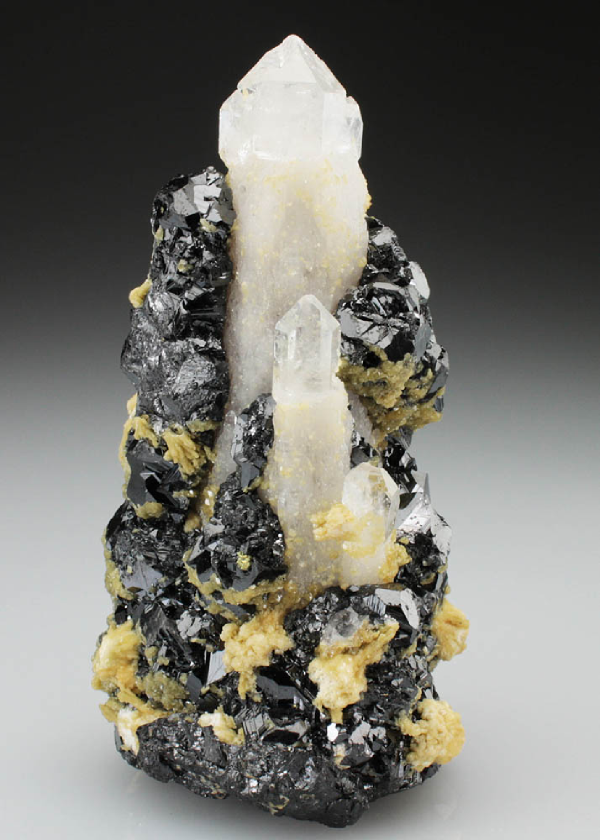CC4746 specimen image