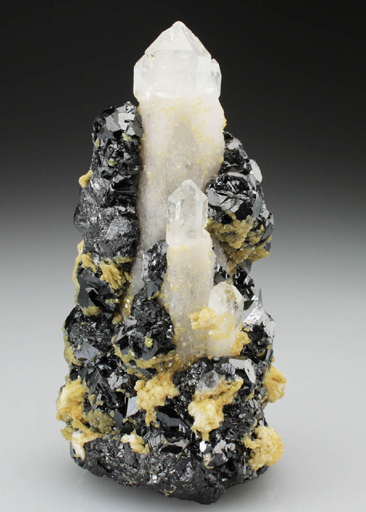 CC4746 specimen image