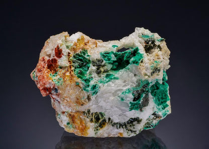 CC47460 specimen image