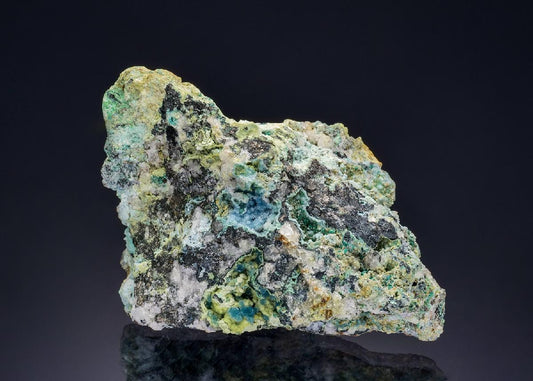 CC47472 specimen image