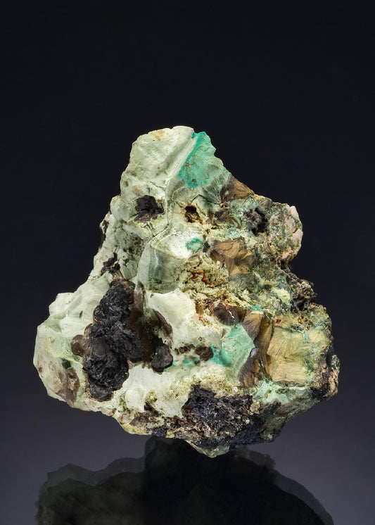 CC47476 specimen image
