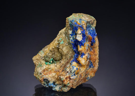 CC47498 specimen image
