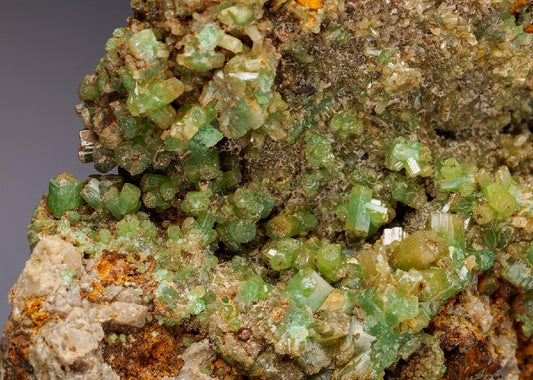 CC4750 specimen image