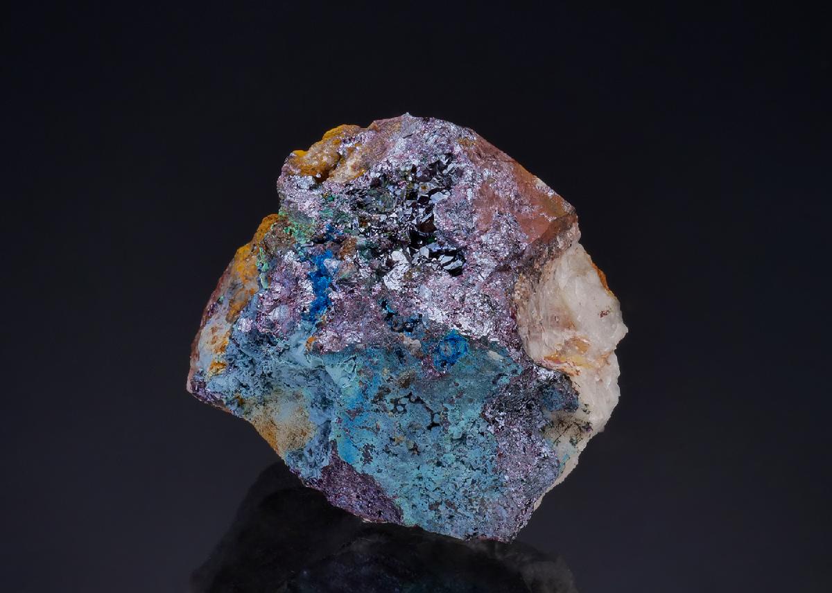 CC47504 specimen image