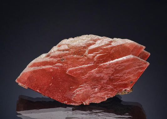 CC47542 specimen image