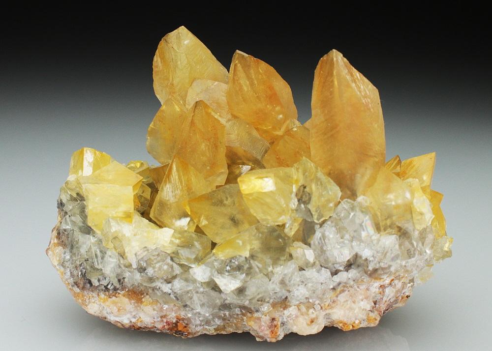 CC4775 specimen image