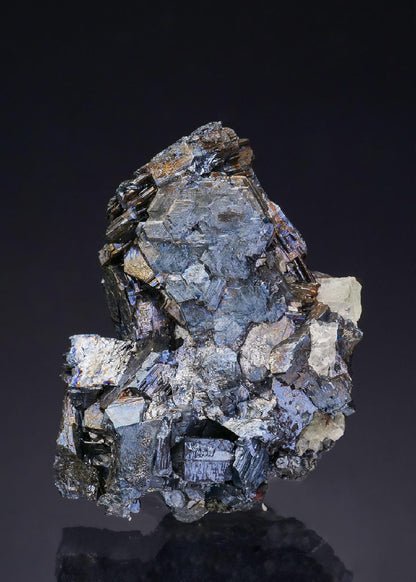 CC47806 specimen image