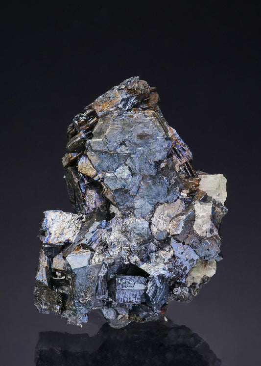 CC47806 specimen image
