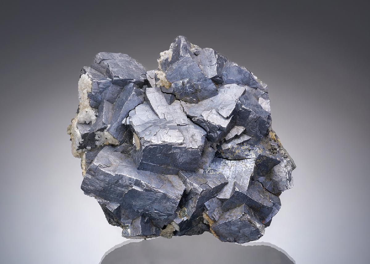CC47832 specimen image