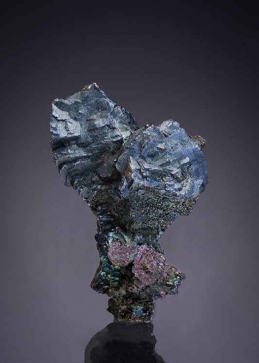 CC47840 specimen image