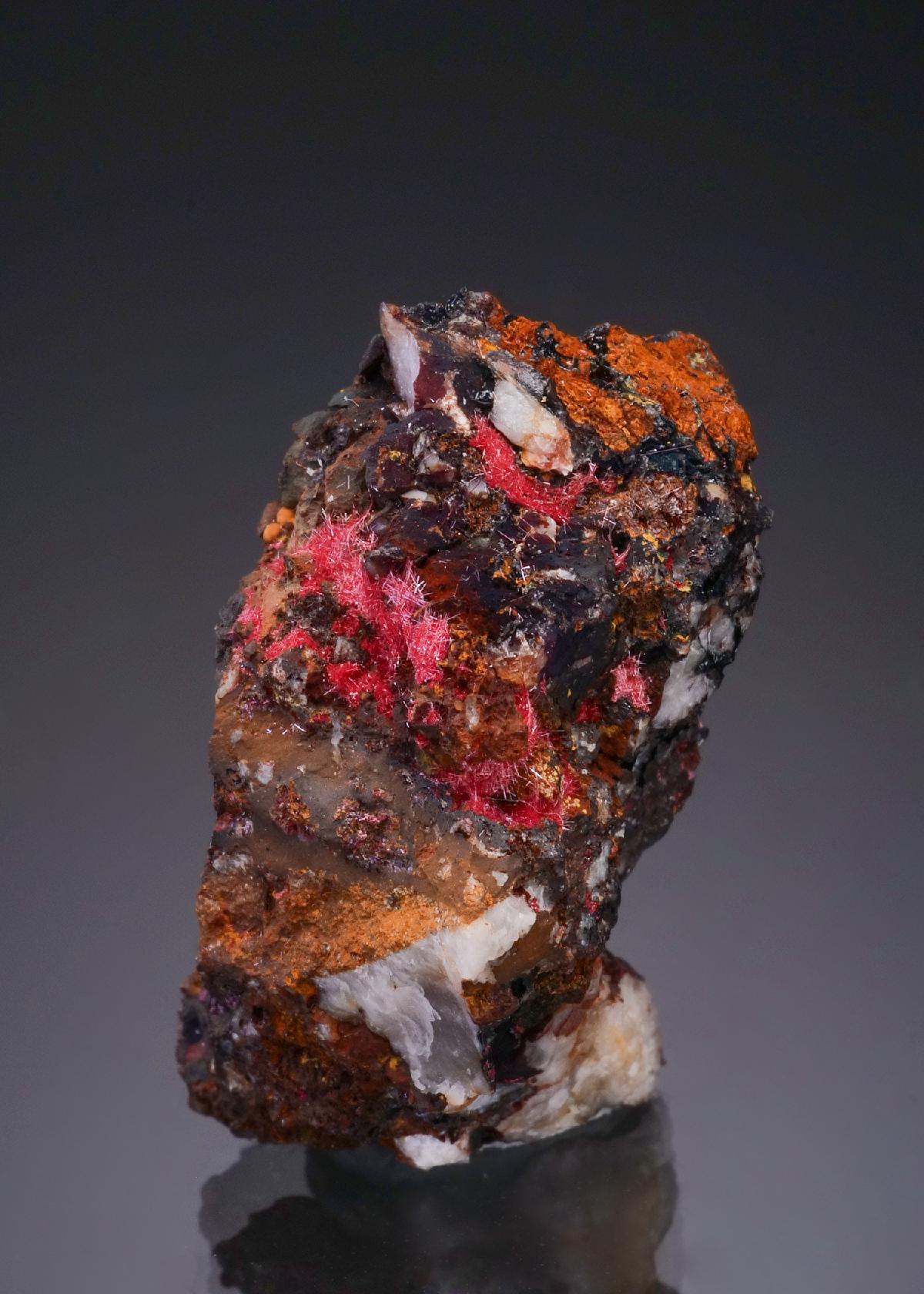 CC47856 specimen image