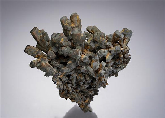 CC4786 specimen image