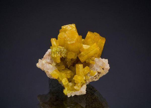 CC47946 specimen image