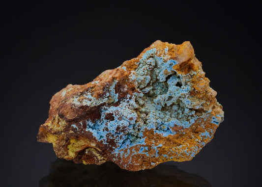 CC47954 specimen image