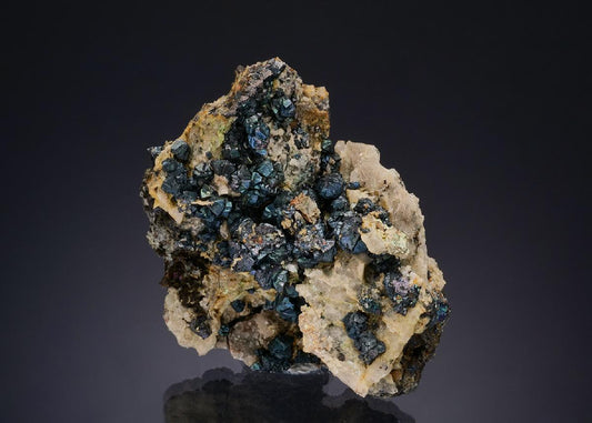 CC47996 specimen image