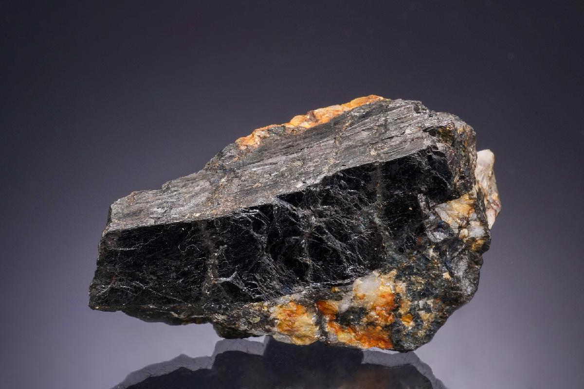 CC48016 specimen image