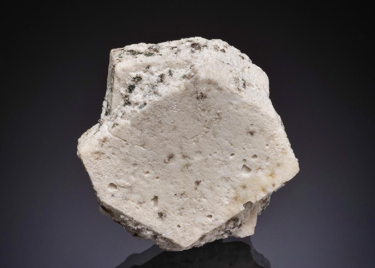 CC48034 specimen image