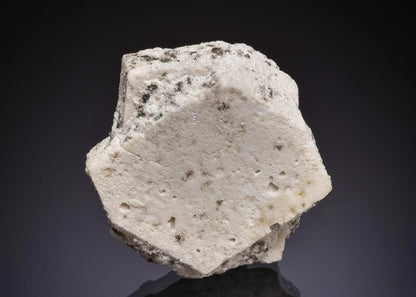 CC48034 specimen image