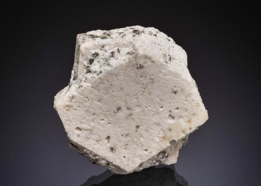 CC48034 specimen image