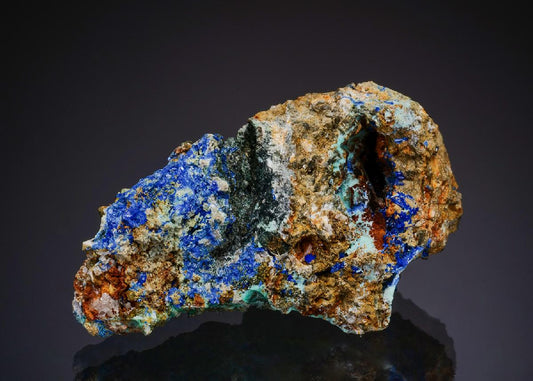 CC48040 specimen image