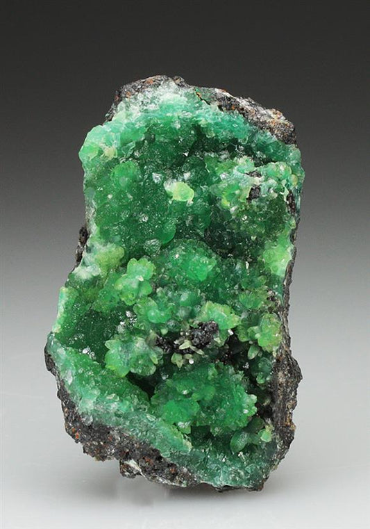 CC4805 specimen image