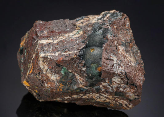 CC48080 specimen image